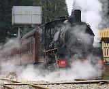 Zig Zag Railway Locomotive 9J53D-19